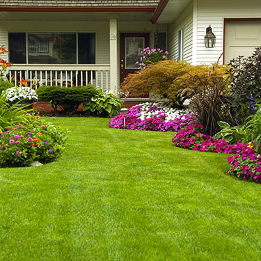 home landscaping services